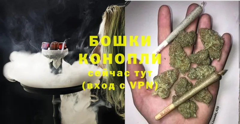 Бошки марихуана THC 21%  дарнет шоп  Великие Луки 